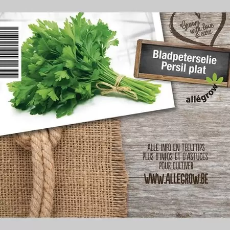 ALLEGROW Blad Peterselie - afbeelding 2