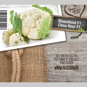 ALLEGROW Bloemkool - afbeelding 2