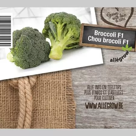 ALLEGROW Broccoli - afbeelding 2