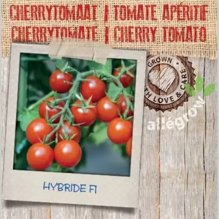 ALLEGROW Cherrytomaat - afbeelding 2