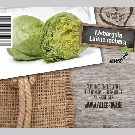 ALLEGROW IJsbergsla - afbeelding 2