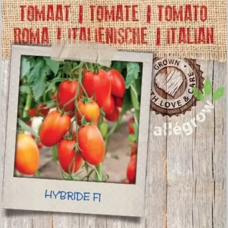 ALLEGROW Italiaanse Tomaat - afbeelding 2