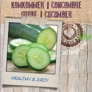 ALLEGROW Komkommer - afbeelding 2