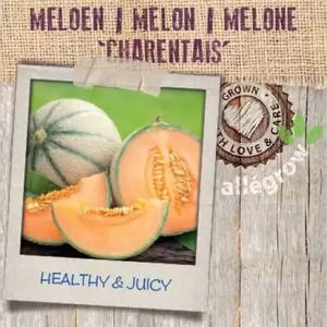 ALLEGROW Meloen - afbeelding 2