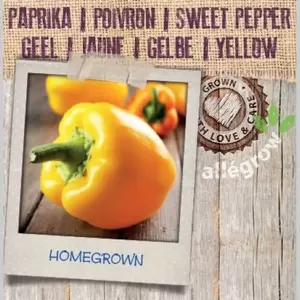 ALLEGROW Paprika Geel - afbeelding 2