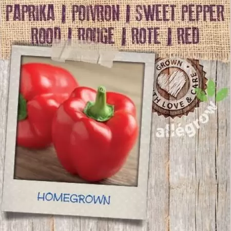 ALLEGROW Paprika Rood - afbeelding 2