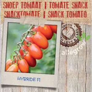 ALLEGROW Snack tomaat - afbeelding 2