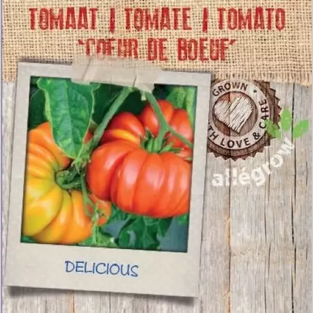 ALLEGROW Tomaat 'Coeur de Boeuf' - afbeelding 2