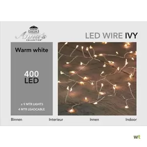 ANNA'S COLLECTION Ivy zilverdraad 400l, l9mtr warmwit