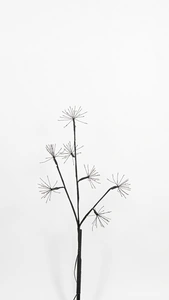 ANNA'S COLLECTION Tak dandelion zwart 140l/h60cm cl - afbeelding 2