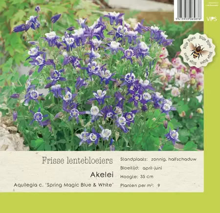 VIPS Aquilegia c. Spr. Mag. Bl & Wh P9