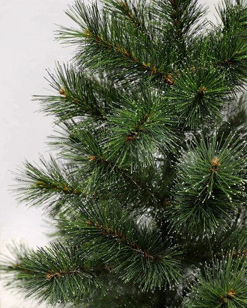 BLACK BOX Kerstbm potted glendon d51h90cm grn - afbeelding 2