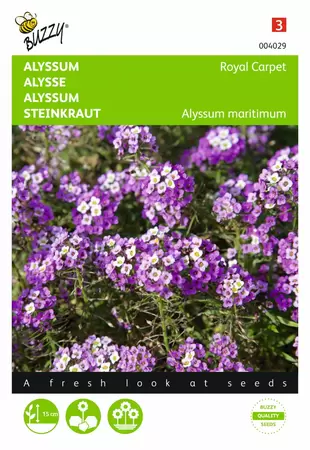 BUZZY Alyssum sneeuwkleed rood 0.5g