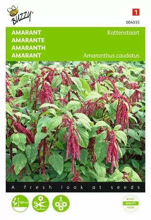 BUZZY Amaranthus rode bloemtros 1g