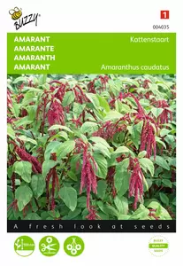 BUZZY Amaranthus rode bloemtros 1g