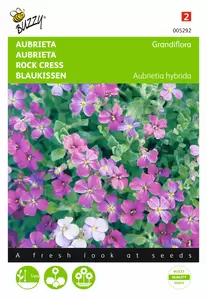 BUZZY Aubrietia hybrida mix 0.15g