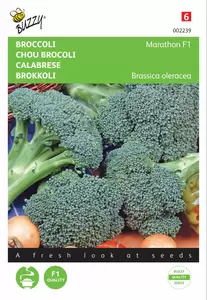 BUZZY Broccoli southern c. f1 75zd
