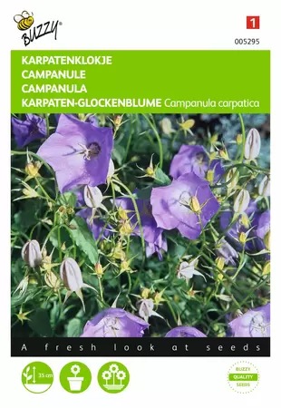 BUZZY Campanula carpatica blauw 0.25g