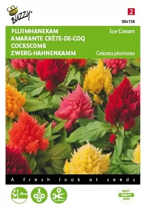 BUZZY Celosia ice cream mixed 100zdn