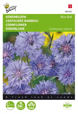 Buzzy® Centaurea, Korenbloem Blue Ball dubbelbloemig - afbeelding 1