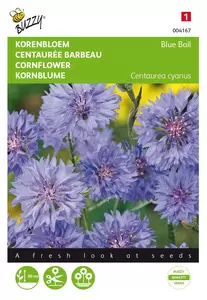 Buzzy® Centaurea, Korenbloem Blue Ball dubbelbloemig - afbeelding 2