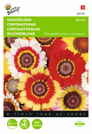 BUZZY Chrysanthemum carinatum mix 1g