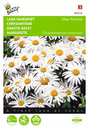 BUZZY Chrysanthemum max.nanum silver 0.5g