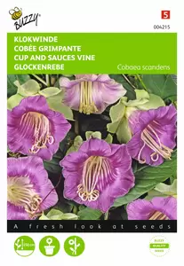 BUZZY Cobaea scandens violetblauw 1g