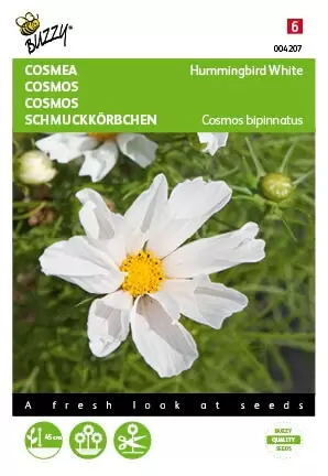 BUZZY Cosmos hummingbird white