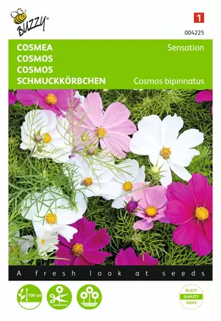 BUZZY Cosmos sensation mix 1g