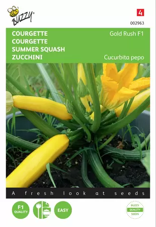 BUZZY Courgette zucchini gold rush f1 2g