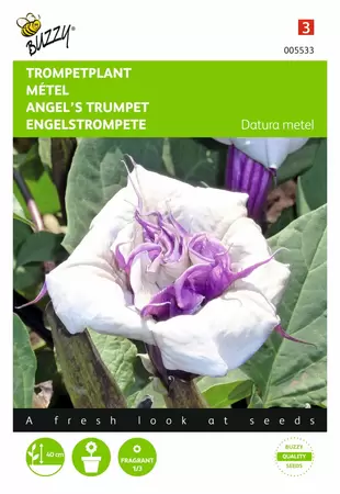 BUZZY Datura metel dubb. bloem 0.5g