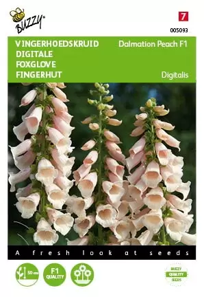 BUZZY Digitalis dalmation peach 25zdn