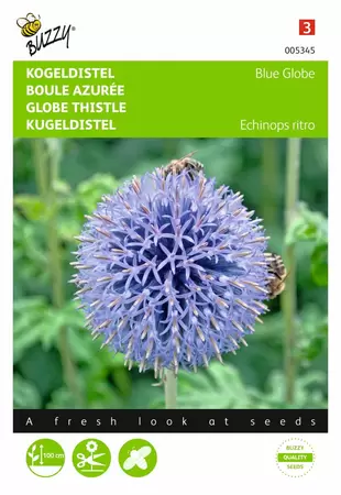 Buzzy® Echinops, Kogeldistel Blue Globe
