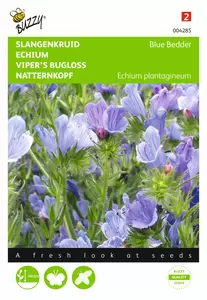 BUZZY Echium plantagineum blue bedder 1g