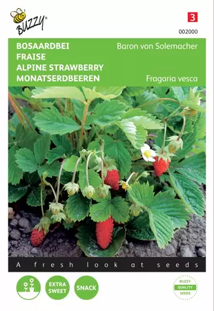 BUZZY Fragaria baron v. solemacher 0.25g