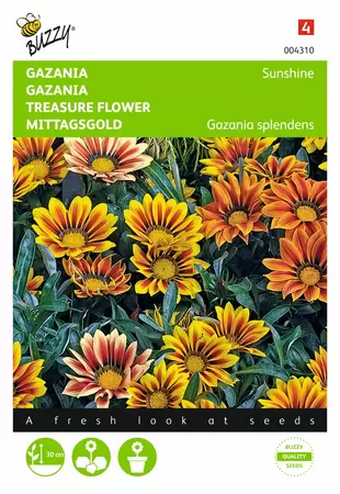 BUZZY Gazania splendens hybrida sun 0.25g