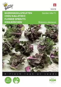 BUZZY Kalettes garden mix f1 25zdn