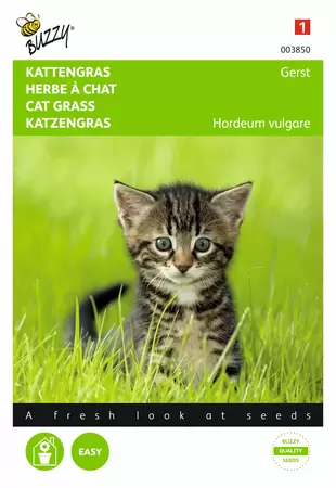 BUZZY Kattengras 10g