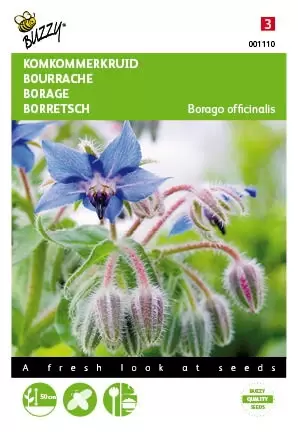 BUZZY Komkommerkruid borage 2g