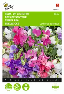 BUZZY Lathyrus mengsel 5g