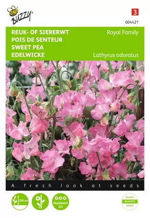 BUZZY Lathyrus od royal family rose 4g