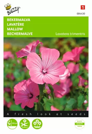 BUZZY Lavatera trimestris rose/rood 1.5g