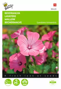 BUZZY Lavatera trimestris rose/rood 1.5g