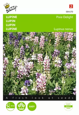 BUZZY Lupinus nanus pixie delig mix2 g