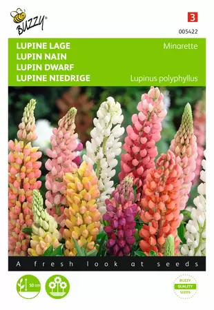 BUZZY Lupinus polyphyllus russel min 1.5g