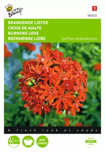 BUZZY Lychnis chalcedonica brandend 0.25g