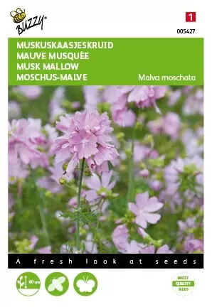 BUZZY Malva moschata rose 0.5g