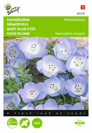 BUZZY Nemophila insignis hemelsblauw 1g