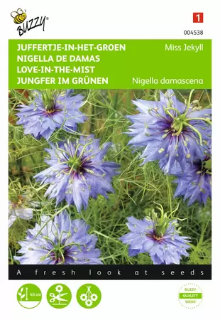 BUZZY Nigella damascena miss jekyll 1.5g